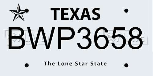 BWP3658 Texas License Plate