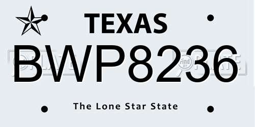 BWP8236 Texas License Plate