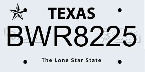 BWR8225 Texas License Plate