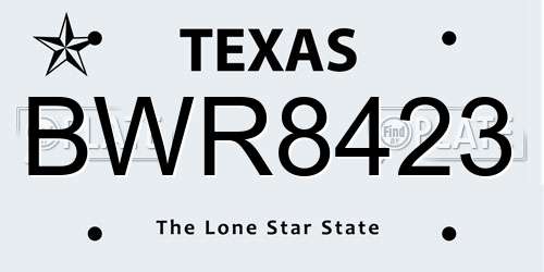BWR8423 Texas License Plate
