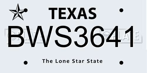 BWS3641 Texas License Plate