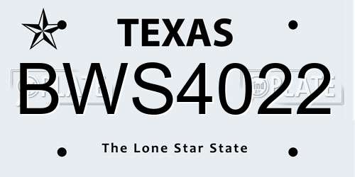 BWS4022 Texas License Plate