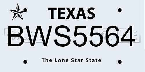 BWS5564 Texas License Plate