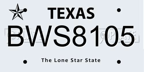 BWS8105 Texas License Plate
