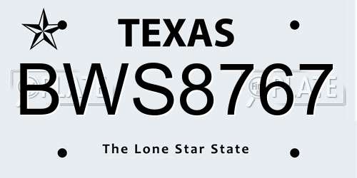 BWS8767 Texas License Plate