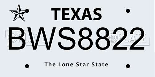 BWS8822 Texas License Plate
