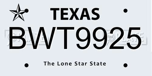 BWT9925 Texas License Plate