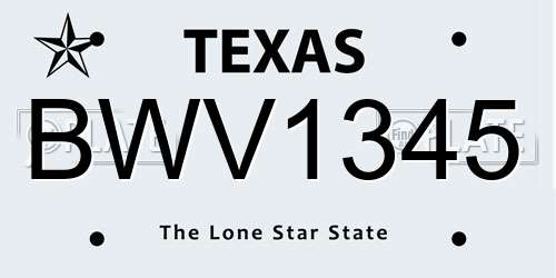 BWV1345 Texas License Plate