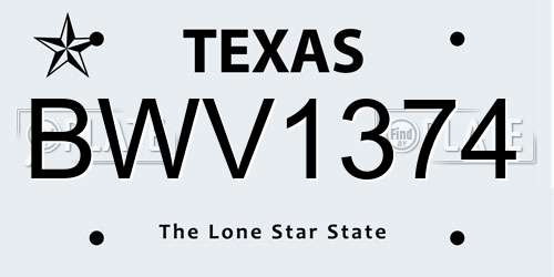 BWV1374 Texas License Plate