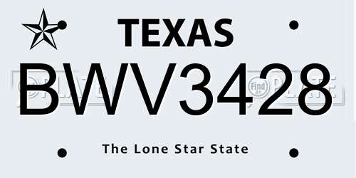 BWV3428 Texas License Plate