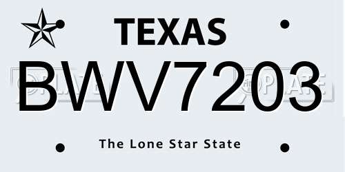 BWV7203 Texas License Plate