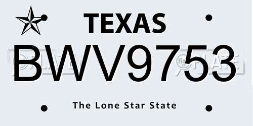 BWV9753 Texas License Plate