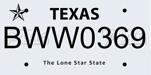BWW0369 Texas License Plate