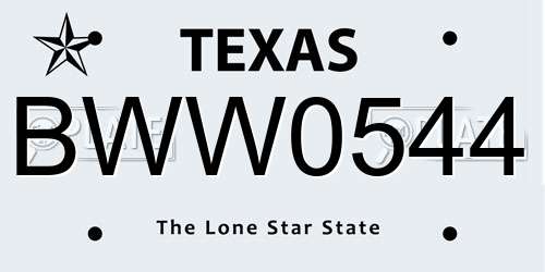 BWW0544 Texas License Plate
