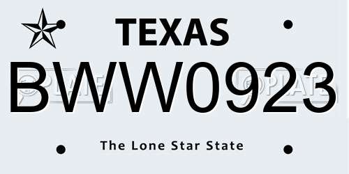 BWW0923 Texas License Plate