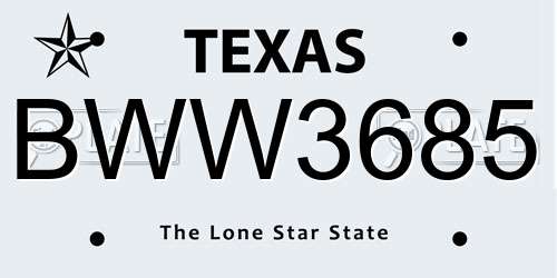 BWW3685 Texas License Plate