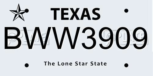 BWW3909 Texas License Plate