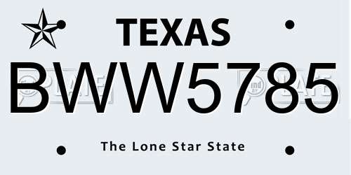 BWW5785 Texas License Plate