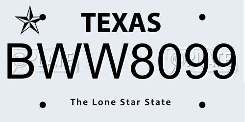 BWW8099 Texas License Plate