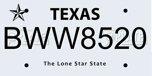 BWW8520 Texas License Plate
