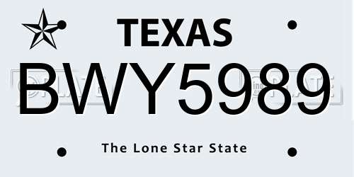 BWY5989 Texas License Plate
