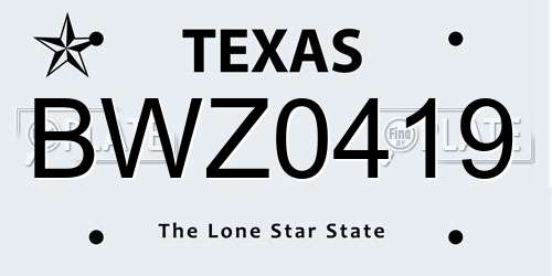 BWZ0419 Texas License Plate