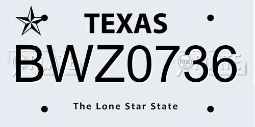 BWZ0736 Texas License Plate