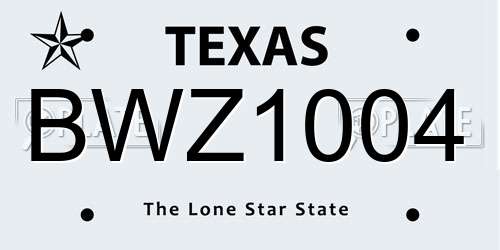 BWZ1004 Texas License Plate