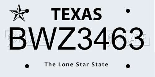 BWZ3463 Texas License Plate