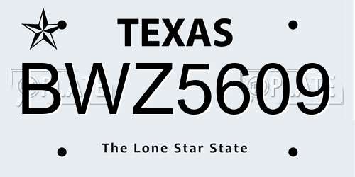 BWZ5609 Texas License Plate