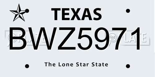 BWZ5971 Texas License Plate