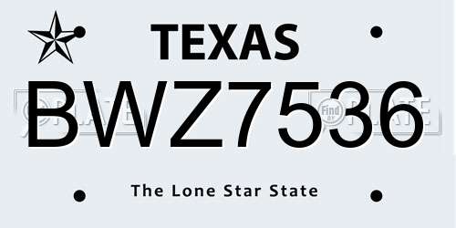 BWZ7536 Texas License Plate