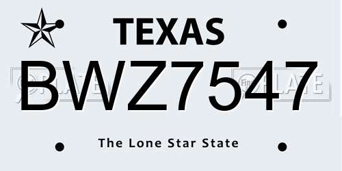 BWZ7547 Texas License Plate