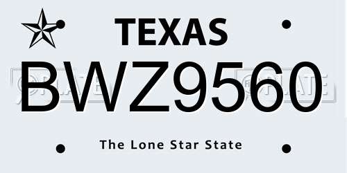 BWZ9560 Texas License Plate