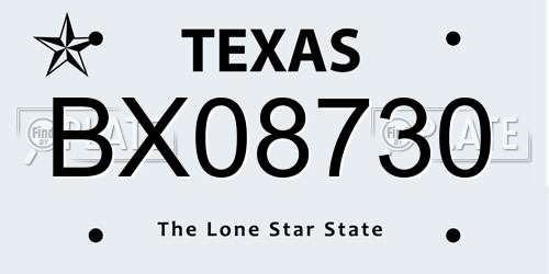 BX08730 Texas License Plate