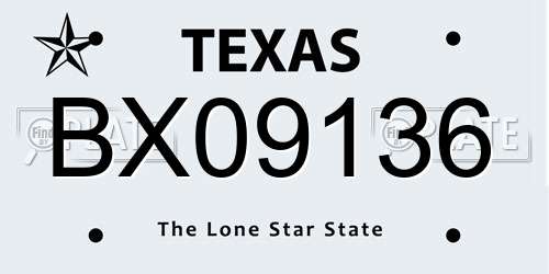 BX09136 Texas License Plate