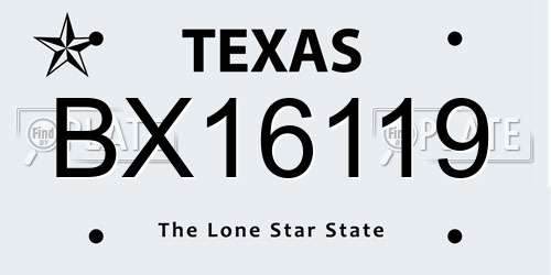 BX16119 Texas License Plate