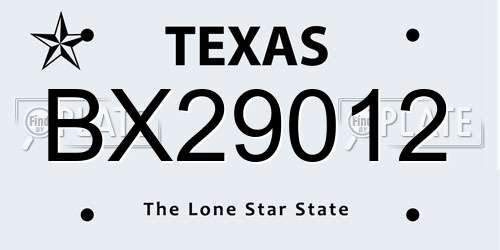 BX29012 Texas License Plate