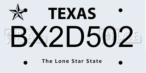 BX2D502 Texas License Plate
