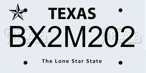 BX2M202 Texas License Plate