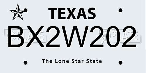 BX2W202 Texas License Plate