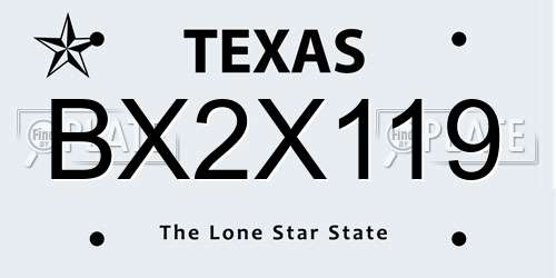 BX2X119 Texas License Plate