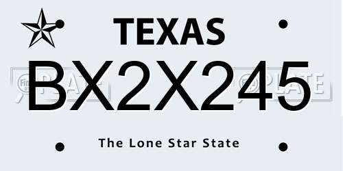 BX2X245 Texas License Plate