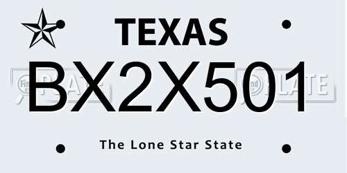 BX2X501 Texas License Plate