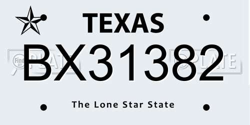 BX31382 Texas License Plate