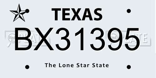BX31395 Texas License Plate
