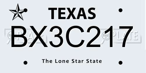 BX3C217 Texas License Plate