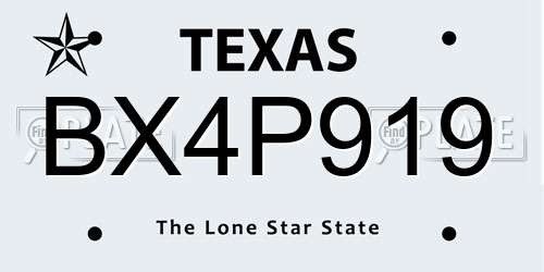 BX4P919 Texas License Plate
