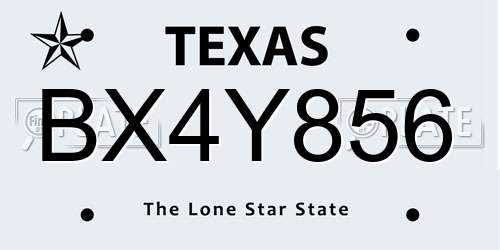 BX4Y856 Texas License Plate