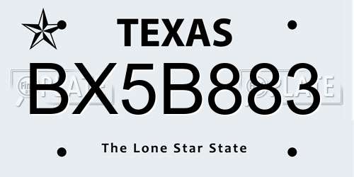 BX5B883 Texas License Plate